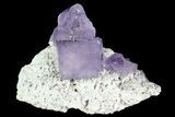 Lustrous, Purple Fluorite Crystals - Morocco #80320-1